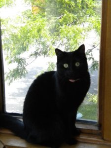 6368_224046725526_4753274_n