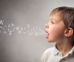 Source : http://4.bp.blogspot.com/-qrsazX8R73k/Tpv0upwSMaI/AAAAAAAAAVQ/s7S_gFLv2L0/s1600/begaie.jpg